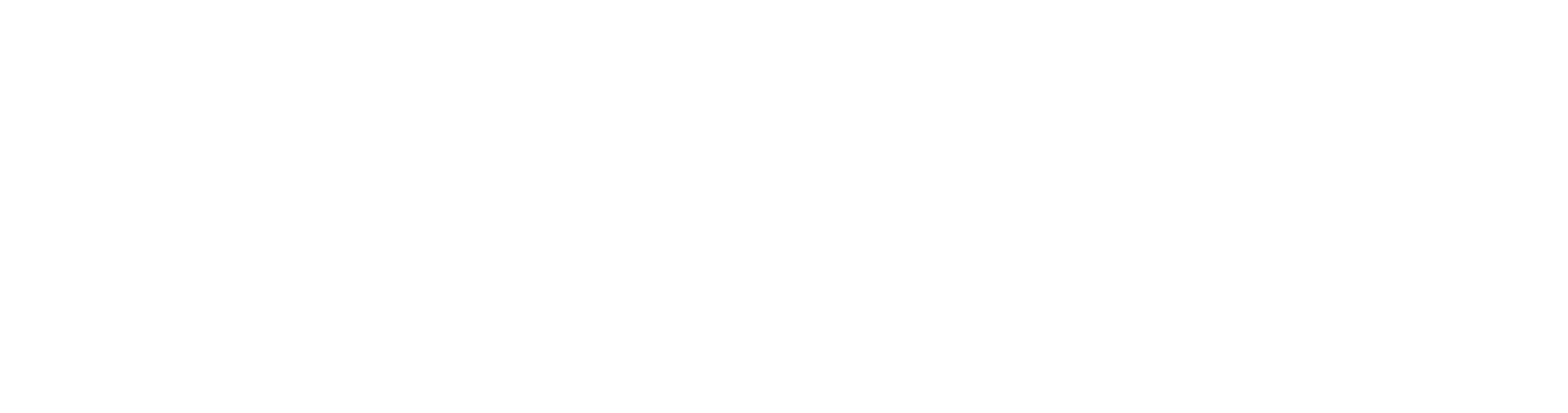 Bullhost Logo